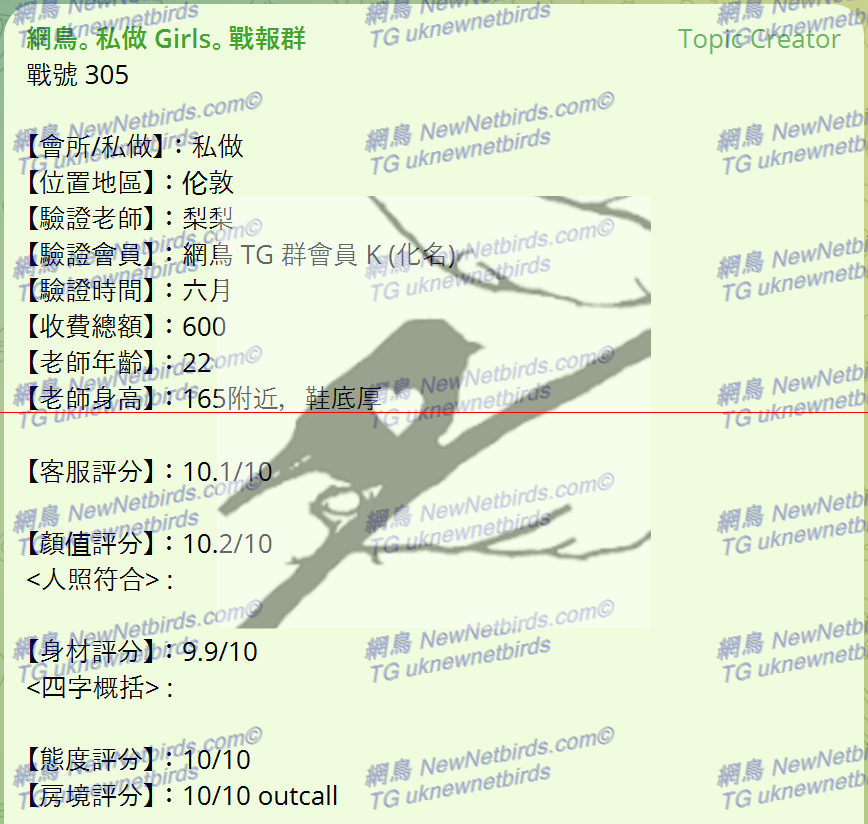 戰號 305 1.png